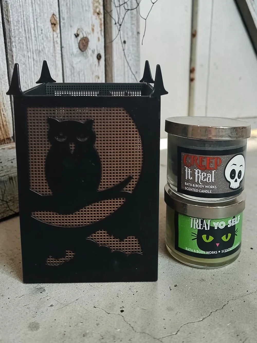 Halloween Pumpkin & Raven Reptile Mini Luminary And 2 Mini Candles